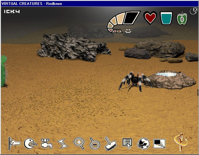 Virtual Creatures Red Knee Tarantula, Main Screen