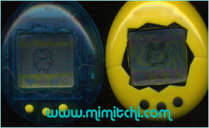 Mimitchi Tamagotchi and Ginjirotchi