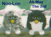 Furby Noo-Loo and Ah-May the 3rd