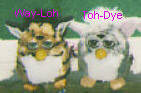 Way-Loh and Toh-Dye Furby
