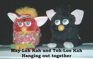 May-Lah Kah and Toh-Loo Kah hanging out together