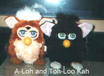 A-Loh and Toh-Loo