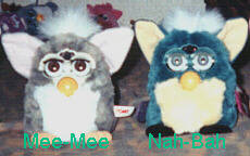 Furby Nah-Bah