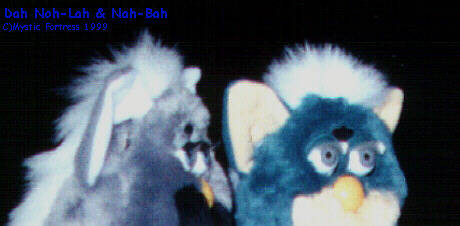 dah noh-lah and nah-bah Furby closeup