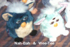 Furby Wee-Tee & Nah-Bah