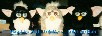 Furbys Ah-May 2nd Toh-Dye Toh-Loo Kah