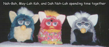 Dah Noh-Lah Furby