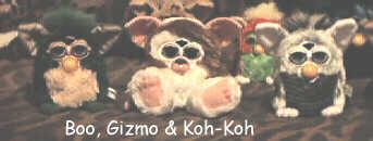 Boo Gizmo and Koh Koh hanging out