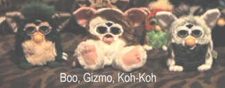 Boo and Gizmo and Koh-Koh