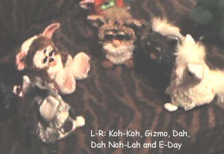 Koh-Koh, Gizmo, Dah, Dah Noh-Lah, E-Day