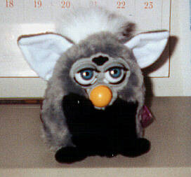 Dah Noh-Lah Furby