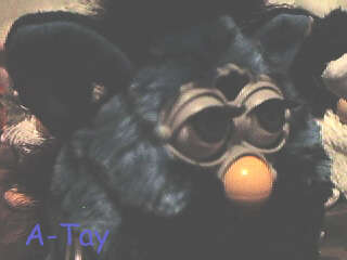 A-Tay Furby closeup