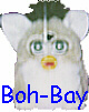 Boh-Bay's Furby Webpage