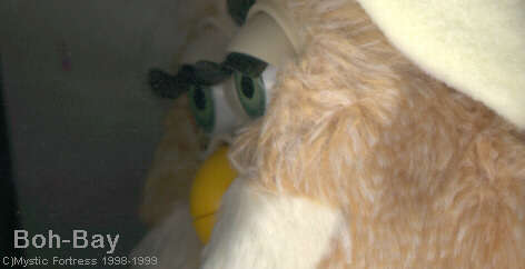 Boh-Bay Furby closeup
