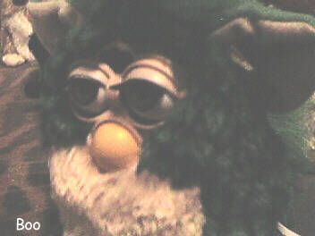Boo Furby closeup