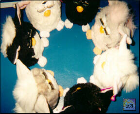 My friends and my Furbys talking in a circle