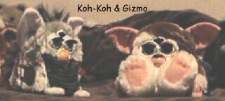 Koh Koh and Gizmo