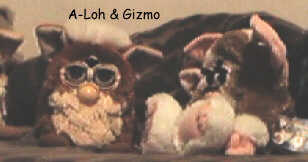 A loh and Gizmo