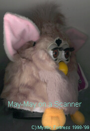 May-May Furby Scanned