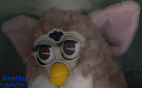 Mee-Mee Furby closeup