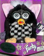 racing Furby