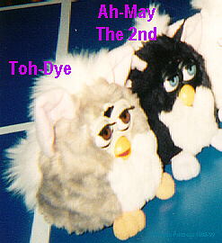 Toh-Dye Ah-May the 2nd Furby