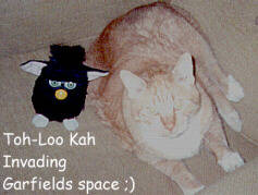 Toh-Loo and Garfield my cat