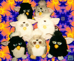 7 Furbys