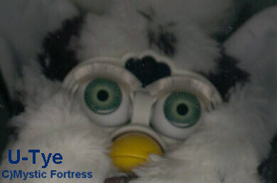 U-Tye Furby closeup