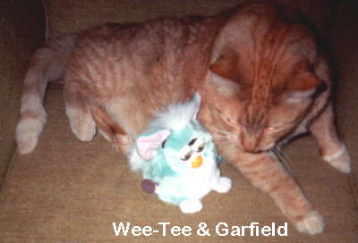 Wee-Tee Furby with garfield my cat, whom is none too happy to share a seat with wee-tee.