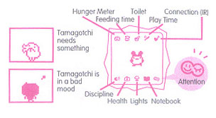 how to make your tamagotchi grow