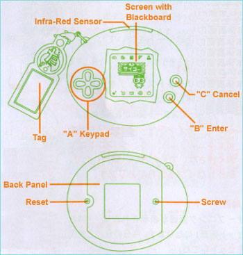 tamagotchi school tamasuku instructions